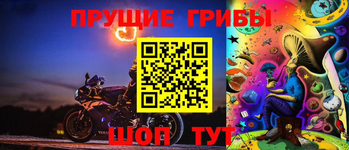 Псилоцибиновые грибы прущие грибы Саянск