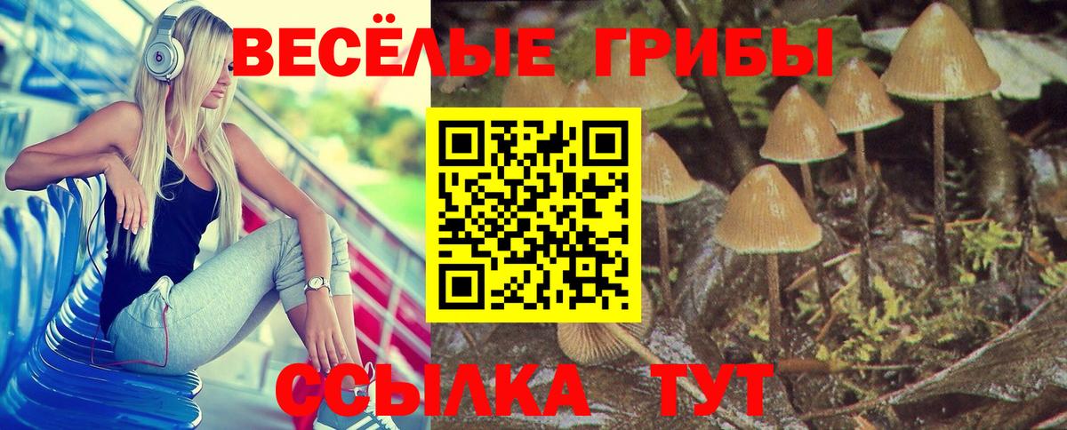 Галлюциногенные грибы мухоморы  Вход с VPN  купить закладку  Псилоцибиновые грибы MAGIC MUSHROOMS  Саянск 